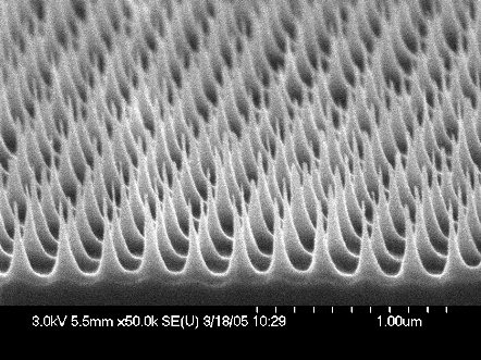 Nano.jpg
